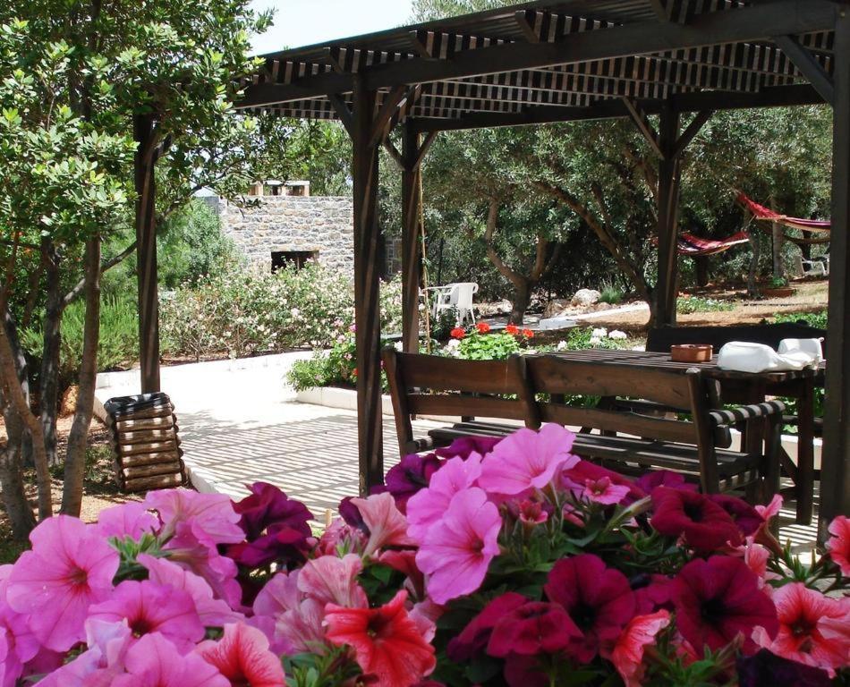 Katerina Charming Place Amoudara  Exteriör bild