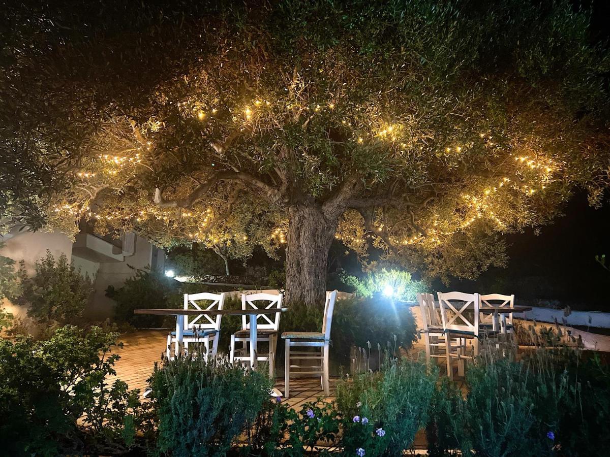 Katerina Charming Place Amoudara  Exteriör bild